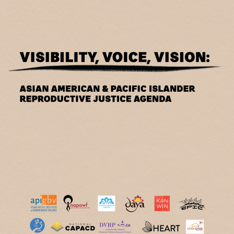Visibility, Voice, Vision: Asian American and Pacific Islander Reproductive Justice Agenda