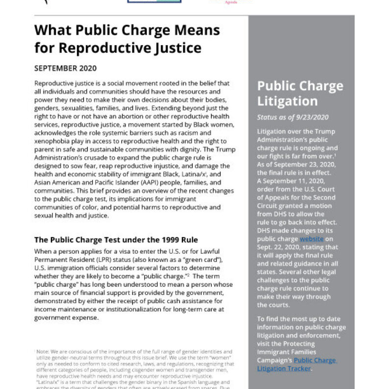 The first page of the Reproductive Justice Public Charge Factsheet