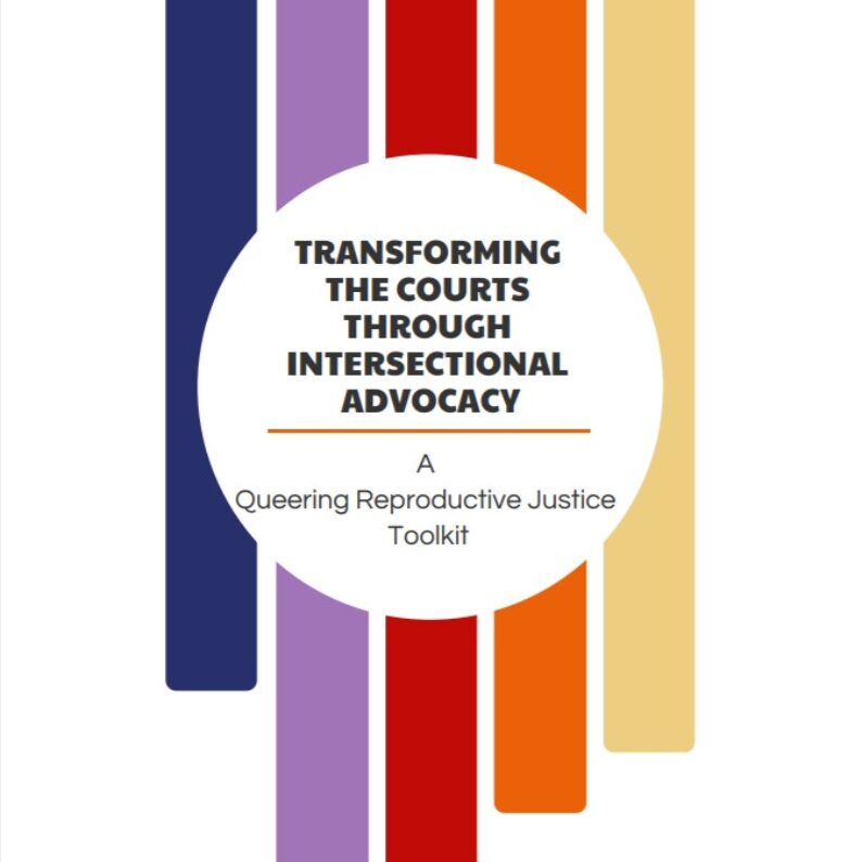 Transforming the Courts through Intersectional Advocacy cover
