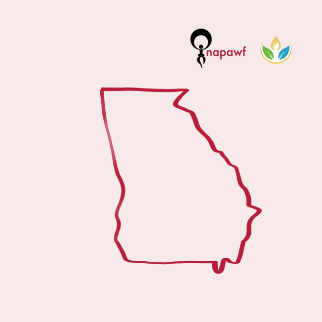 the outline of the American state of Georgia, with the logos for NAPAWF and Emory RISE